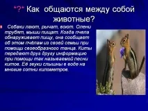 Як спілкуються між собою тварини - Зображення 27877-8 27877-8