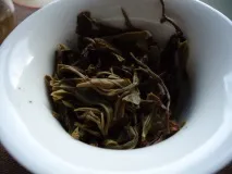 puer