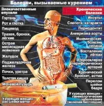 Яка шкода від куріння – 7 розумних фактів куріння