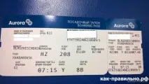 Як правильно організувати план дій під час подорожі літаком організувати