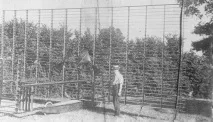 Як побудувати 200-крилий літак історія мультипланів 200-крилий