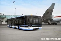 Як правильно організувати план дій під час подорожі літаком правильно