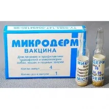 практиці