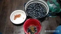 Як стати самогонником у сучасній Україні апарат