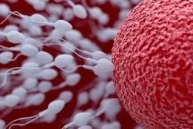 Препарати для стимуляції овуляції, схеми лікування безпліддя лікування
