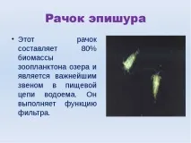 Презентація на тему Озеро Байкал озеро