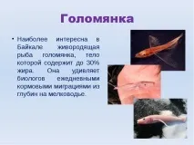 Презентація на тему Озеро Байкал озеро