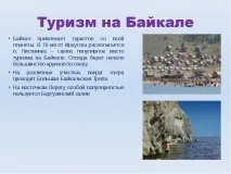 Презентація на тему Озеро Байкал презентація