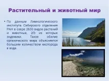 Презентація на тему Озеро Байкал презентація