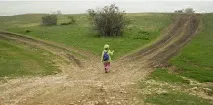 Як вибрати тему сайту вибрати