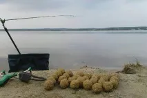 Як вибрати підгодовування - Мисливство та рибалка в Україні та за кордоном мисливство