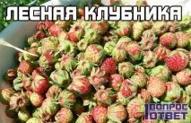 лісова
