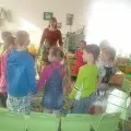 Конспект заняття з розвитку мови «Моя улюблена іграшка» для дітей старшої групи заняття