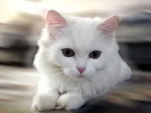 новини