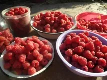 гусар