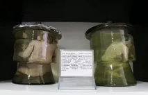семипалатинського