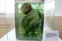 діти