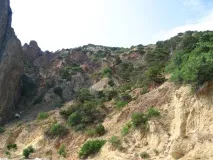 житло