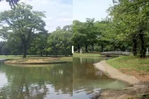 Чи може iPhone замінити професійну фотокамеру може