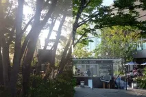 Чи може iPhone замінити професійну фотокамеру замінити