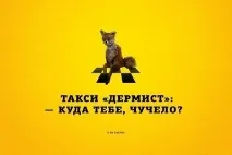 Наповнювач для кота кота