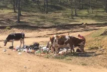 Сміття на Байкалі немає