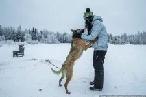 шейната