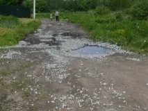 Нашестя метеликів - Дачні справи - Форум на нашестя