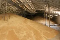Норми природних втрат продовольчих товарів (овочів, фруктів), нафтопродуктів, норми