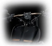 Harley-Davidson