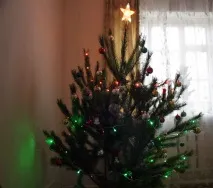 Новий рік у Дагестані менше суперечок, більше витрат дагестані