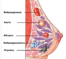 приемате