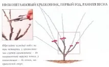 влітку