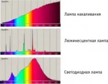 лампи