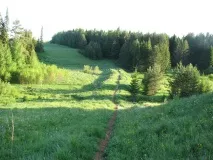 Спритні кута і вівці, що лопнули. кута