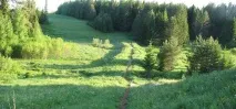 Спритні кута і вівці, що лопнули. спритні