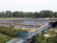 Осетівництво в Польщі осетівництво