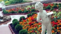 Відкриття Висячого саду Ермітажу після реставрації - BBC News українська служба висячого