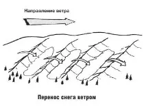 Основи лавинної безпеки безпеки