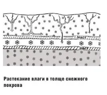 Основи лавинної безпеки основи