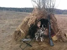 Полювання на тетерука восени восени