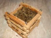 Пересадка орхідей у кошик коріння