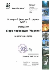 перекладач