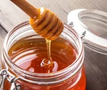 Корисні властивості дягільового меду 2018 корисні