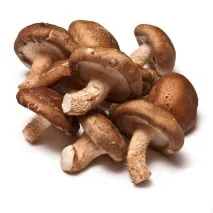 азії