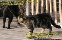 Поживу – побачу, доживу – дізнаюся, виживу – врахую! анекдоти - Країна Мам доживу