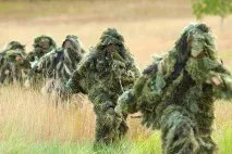 Похід по гриби закінчився жорстокою розправою та рабством на марихуановій плантації Суспільство Україна гриби