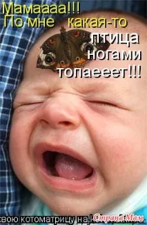 Поживу – побачу, доживу – дізнаюся, виживу – врахую! анекдоти - Країна Мам доживу