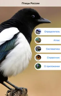 спосіб