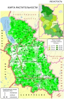 Пізнай свій край рідний Псковщина - лісовий край свій
